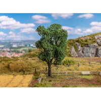 FALLER 181704 Akazie