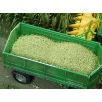 Juweela 23304 1:32 Maiskörner, 100g