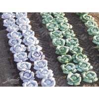 Juweela 23363 1:32 Weisskohl-Pflanzen, Inhalt 36 Stk.