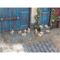 Juweela 23369 1:32 1:35 Kaninchen, 11x