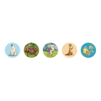 PIATNIK 668463 Wildtastic Five-FAMILIENSPIEL