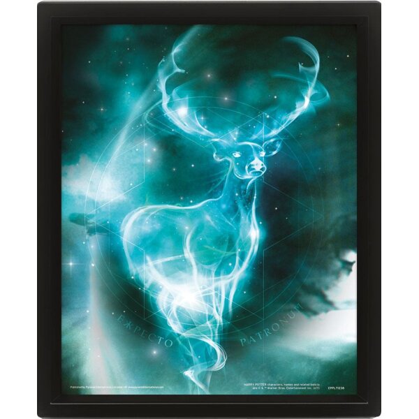 Harry Potter 3D-Effekt Poster Set im Rahmen Expecto Patronum 26 x 20 cm