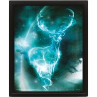 Harry Potter 3D-Effekt Poster Set im Rahmen Expecto...