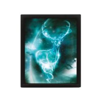 Harry Potter 3D-Effekt Poster Set im Rahmen Expecto...