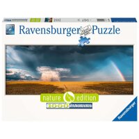 Ravensburger 17493 Mystisches Regenbogenwetter 1000 Teile...