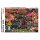 PIATNIK 558245 Herbstimpression 1000 Teile