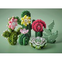 HAMA 3622 Art - Sukkulenten