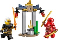 LEGO® 30650 Ninjago Kais und Raptons Duell im Tempel (Polybeutel)