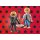 PLAYMOBIL 71337 Miraculous: Adrien & Cat Noir