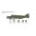 ITALERI 510001412 1:72 S.M.79 M Sparviero