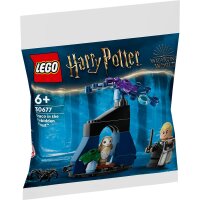 LEGO® 30677 Harry Potter™ Draco im Verbotenen...