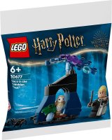 LEGO® 30677 Harry Potter™ Draco im Verbotenen Wald™ (Polybeutel)