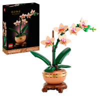 LEGO® 10343 Botanicals Mini-Orchidee