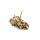 LEGO® 76969 Jurassic World™ Dinosaurier-Fossilien: Triceratops-Schädel