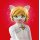 PLAYMOBIL 71865 Miraculous: Ladybugs & Cat Noirs Hochzeitstraum - Miraculous
