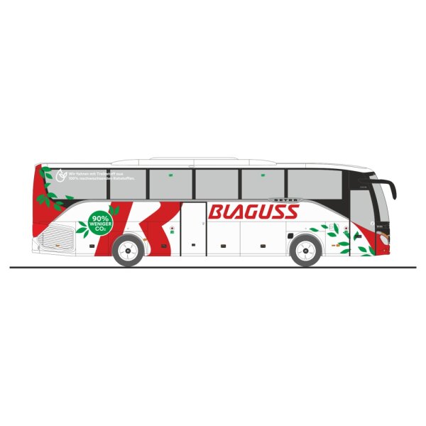 RIETZE 77928 Setra S 515 HD Blaguss (AT)
