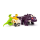 BRIO 63608200 Dinosaurier Ankylosaurus