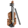 BRIXIES 200114 VIOLINE (Polybeutel)