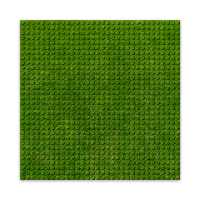 BRIXIES 225000 Plus Designer Platte Rasen 32 x 32 Noppen