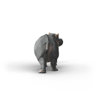 Schleich 14938 WILD LIFE - Flusspferd