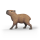 Schleich 14934 WILD LIFE - Capybara