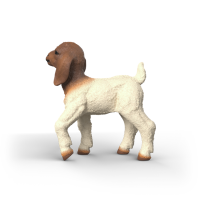 Schleich 14930 FARM WORLD - Burenzicklein