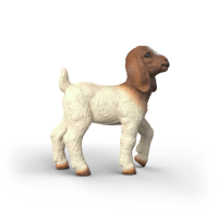 Schleich 14930 FARM WORLD - Burenzicklein