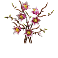 LEGO® 11510 Botanicals - Magnolienzweige