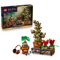 LEGO® 76474 Harry Potter™ - Schloss...