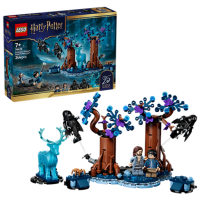 LEGO® 76475 Harry Potter™ - Verbotener Wald:...
