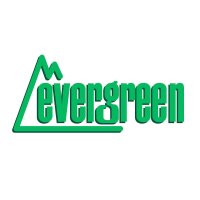 evergreen 13035 Strukturplatte, 300x600x0,5 mm. Spur...