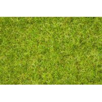 NOCH ( 07072 ) Master-Grasmischung Sommerwiese, 2,5 bis 6...