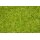 NOCH ( 07072 ) Master-Grasmischung Sommerwiese, 2,5 bis 6 mm G,0,H0,TT