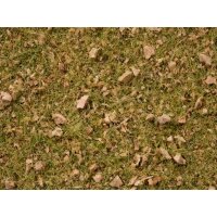 NOCH ( 07075 ) Master-Grasmischung Almwiese, 2,5 bis 6 mm...