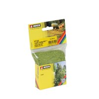 NOCH ( 07142 ) Laub G,0,H0,TT,N,Z