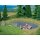 NOCH 07442 Natur+ “Badesee” G,0,H0,TT,N,Z