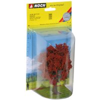 NOCH ( 21730 ) Rotbuche H0,TT,N