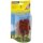 NOCH ( 21730 ) Rotbuche H0,TT,N